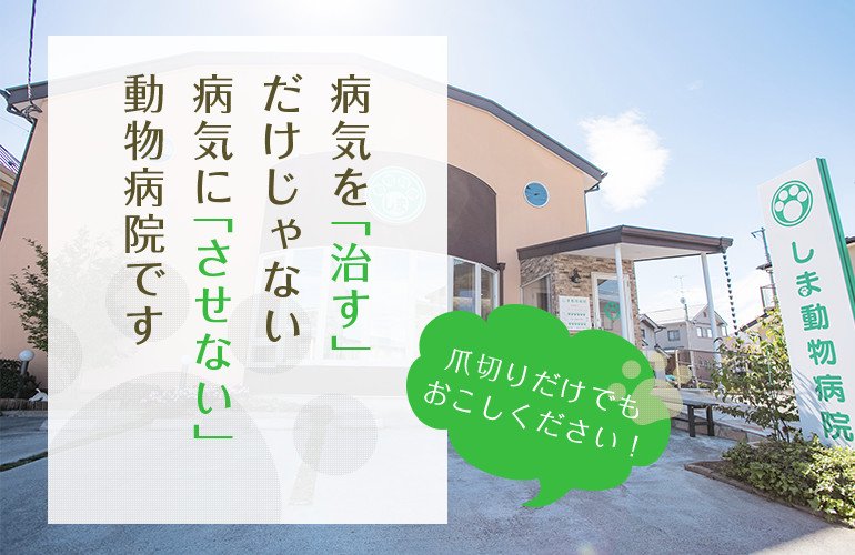 病気を「治す」だけじゃない病気に「させない」動物病院です