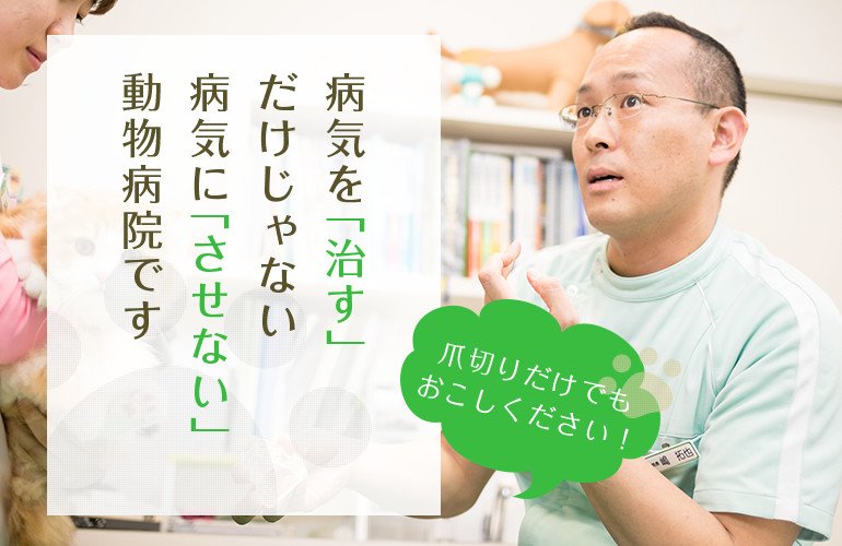 病気を「治す」だけじゃない病気に「させない」動物病院です