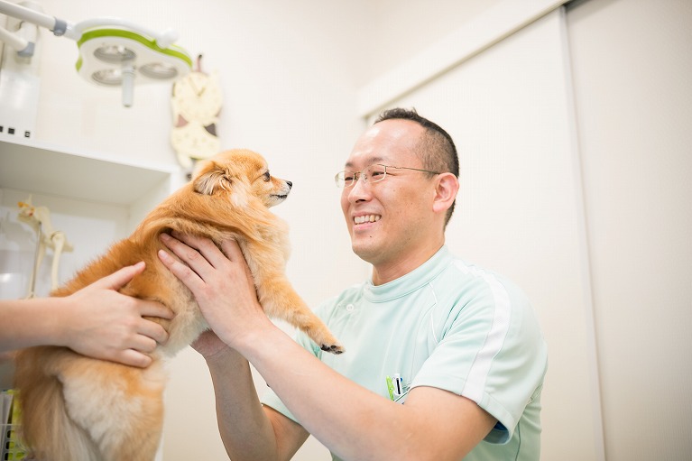 痛みについて心配な飼い主さんへ