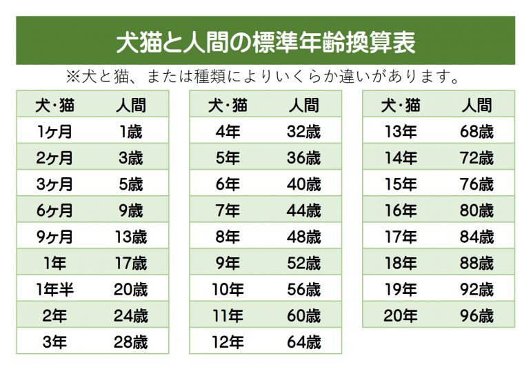 犬 年齢 人間